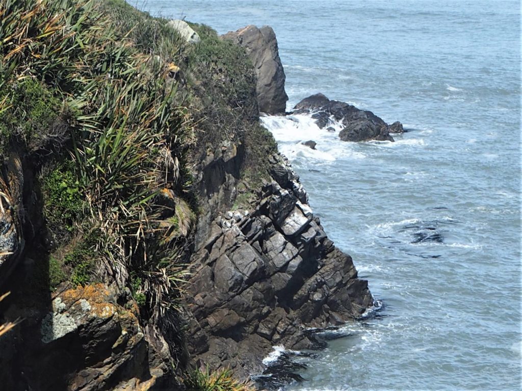 Look down rough and bush covered Cape Foulwind Walkway cliffs.