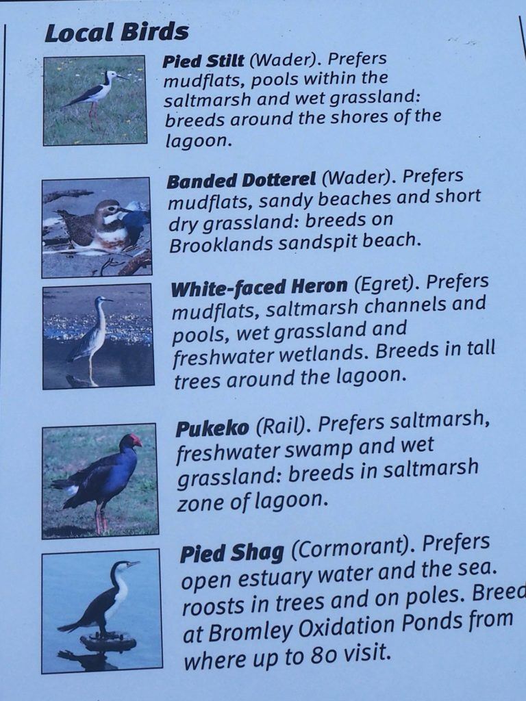 Third bird information board located at Brooklands Lagoon