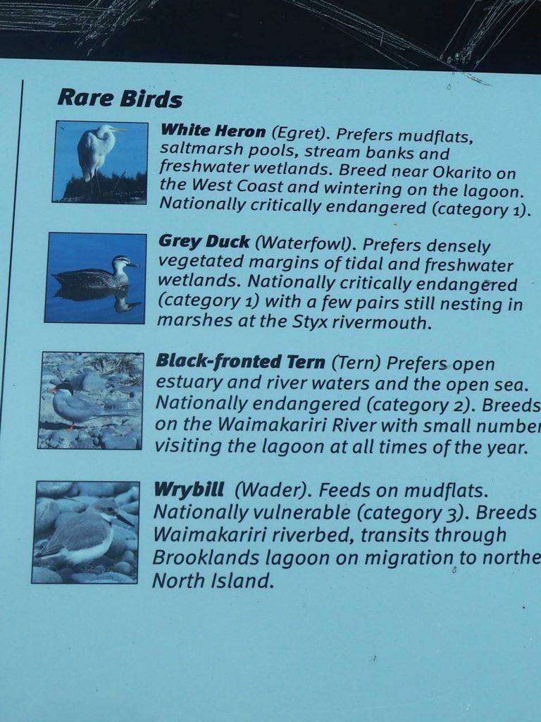 Bird Information Board about the birdlife on Brooklands Lagoon