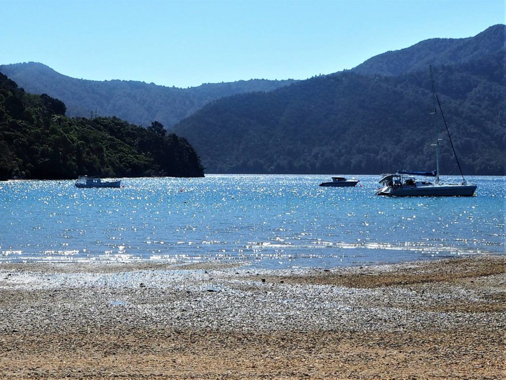 Lovely open beach at Ngakuta Bay