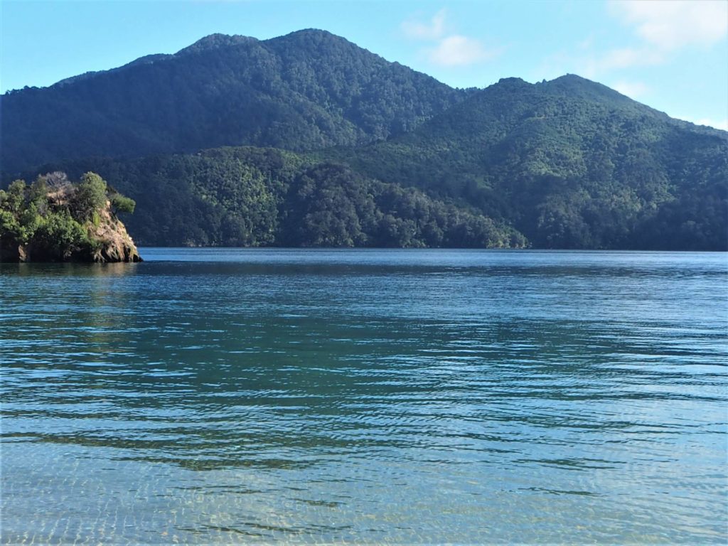 Looking out from Governors Bay