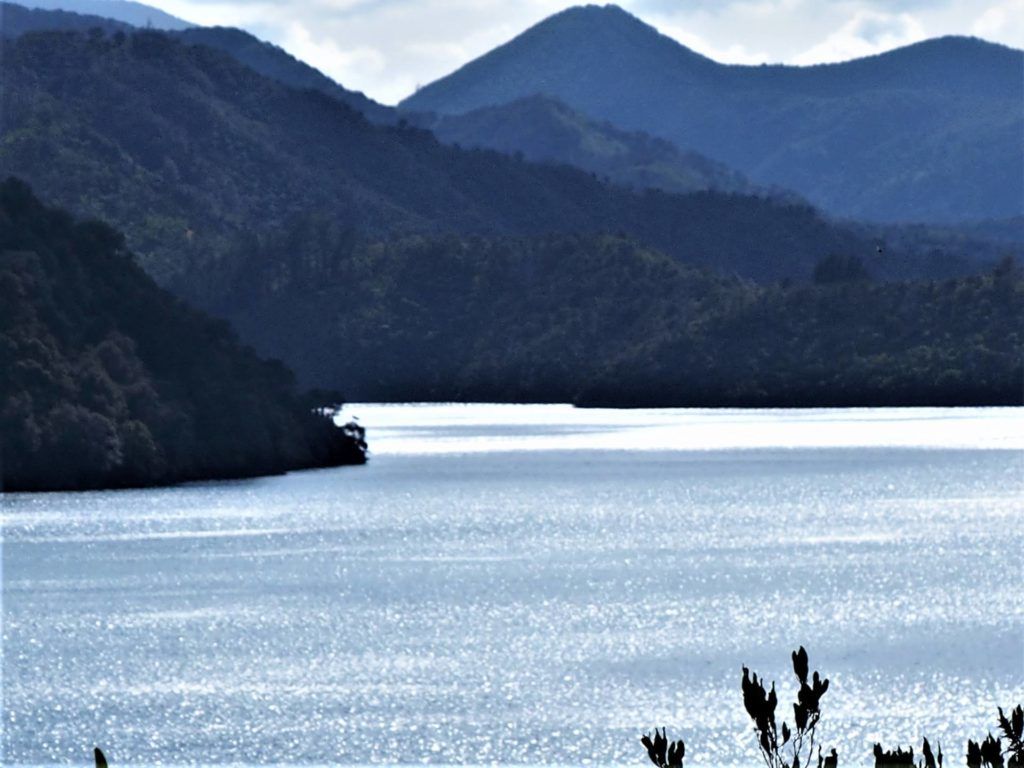 Viewing Spot out to Pelorus Sound