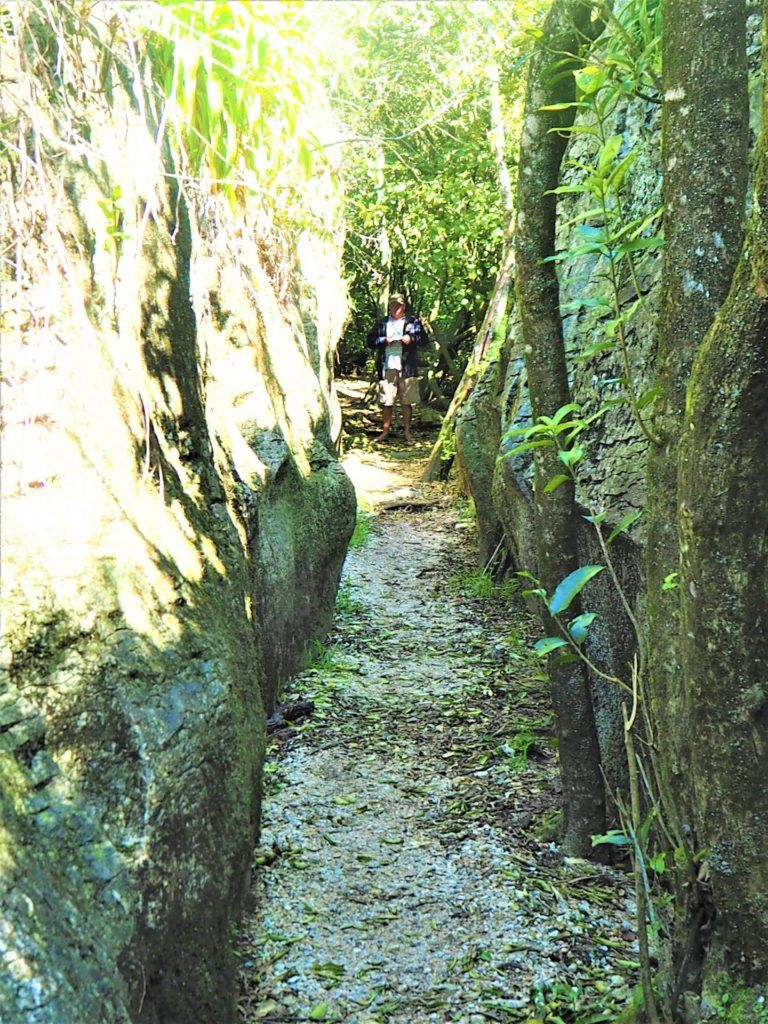 Labyrinth Rocks