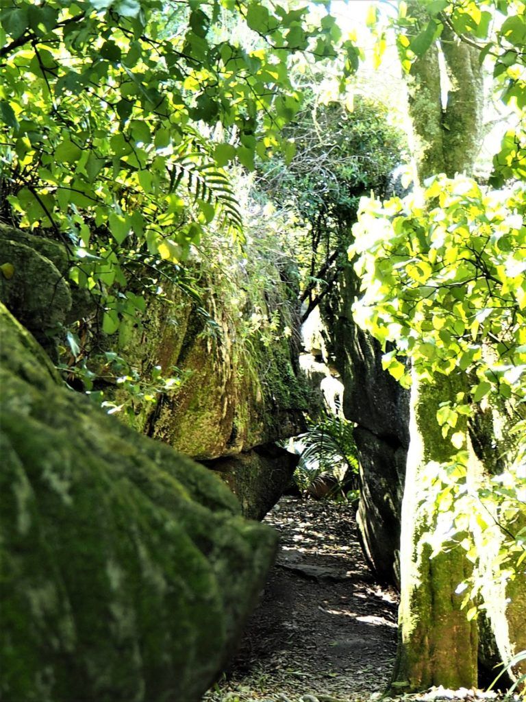 Labyrinth Rocks