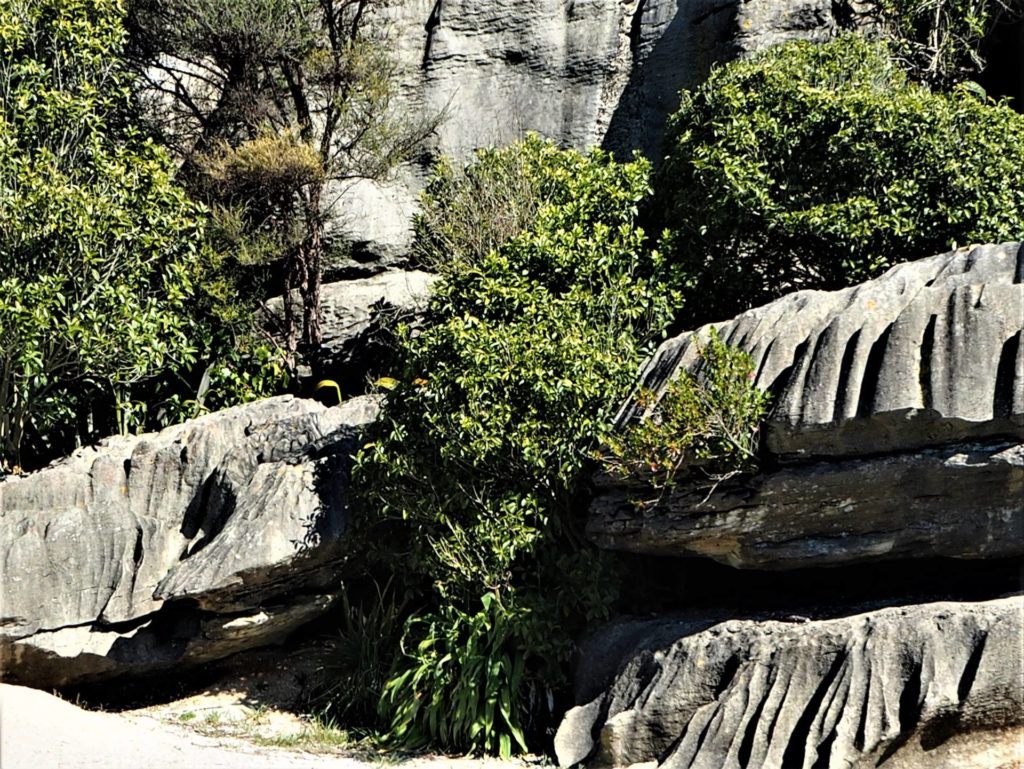 Labyrinth Rocks