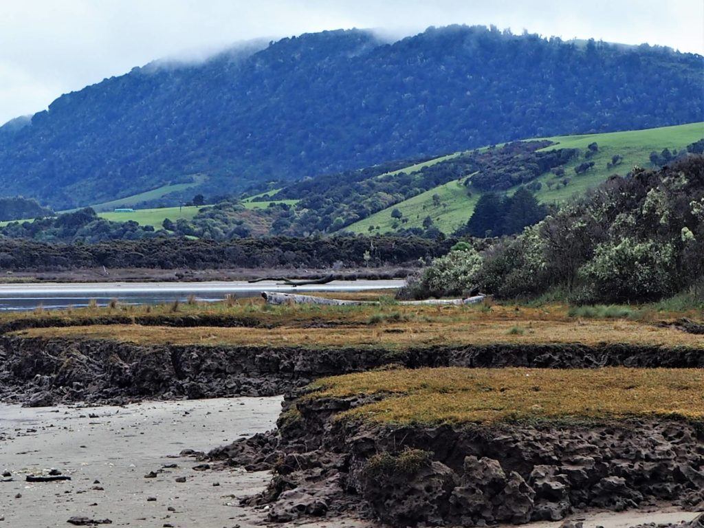 Coastal tidal view of Tahakopa Bay Scenic Reserve