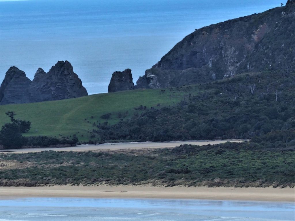Tautuku Beach and countryside.