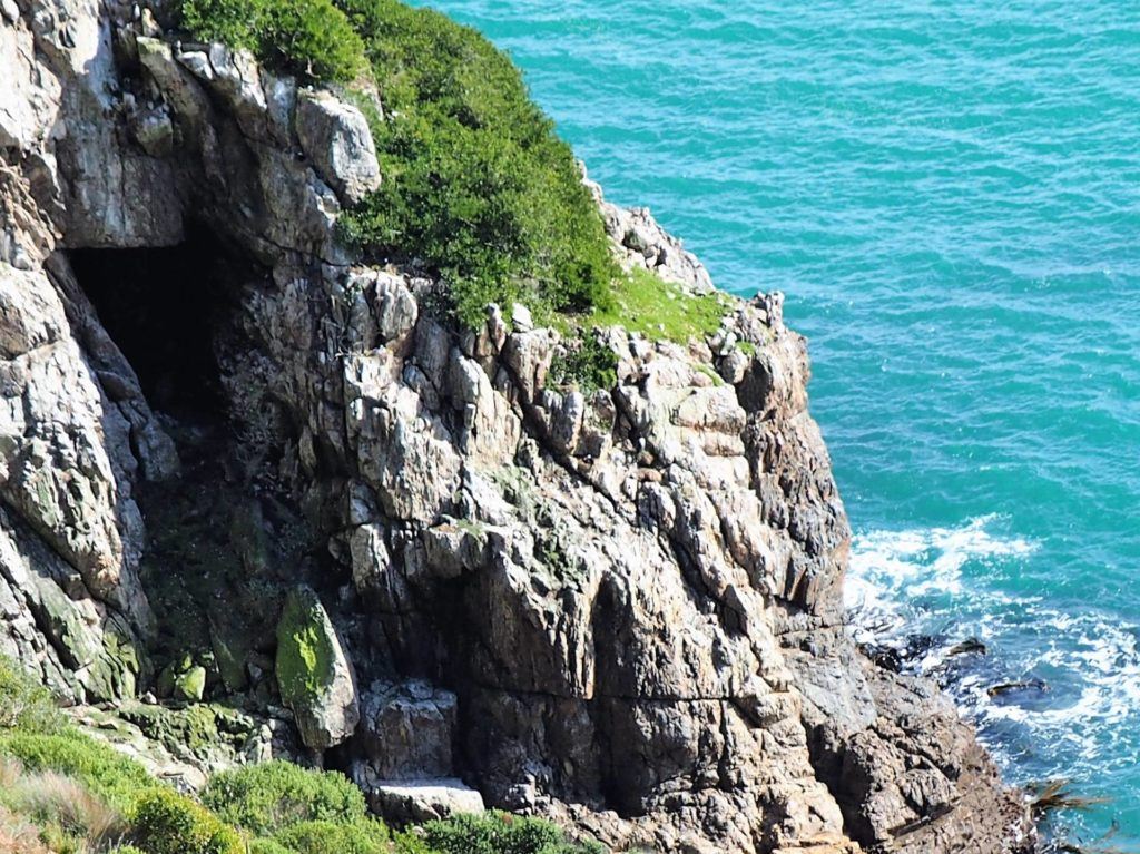 Rugged and steep cliffs drop down the side of Nugget Point