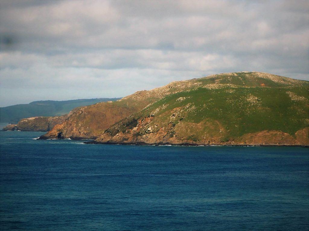 Catlins Coastline from Nugget Point