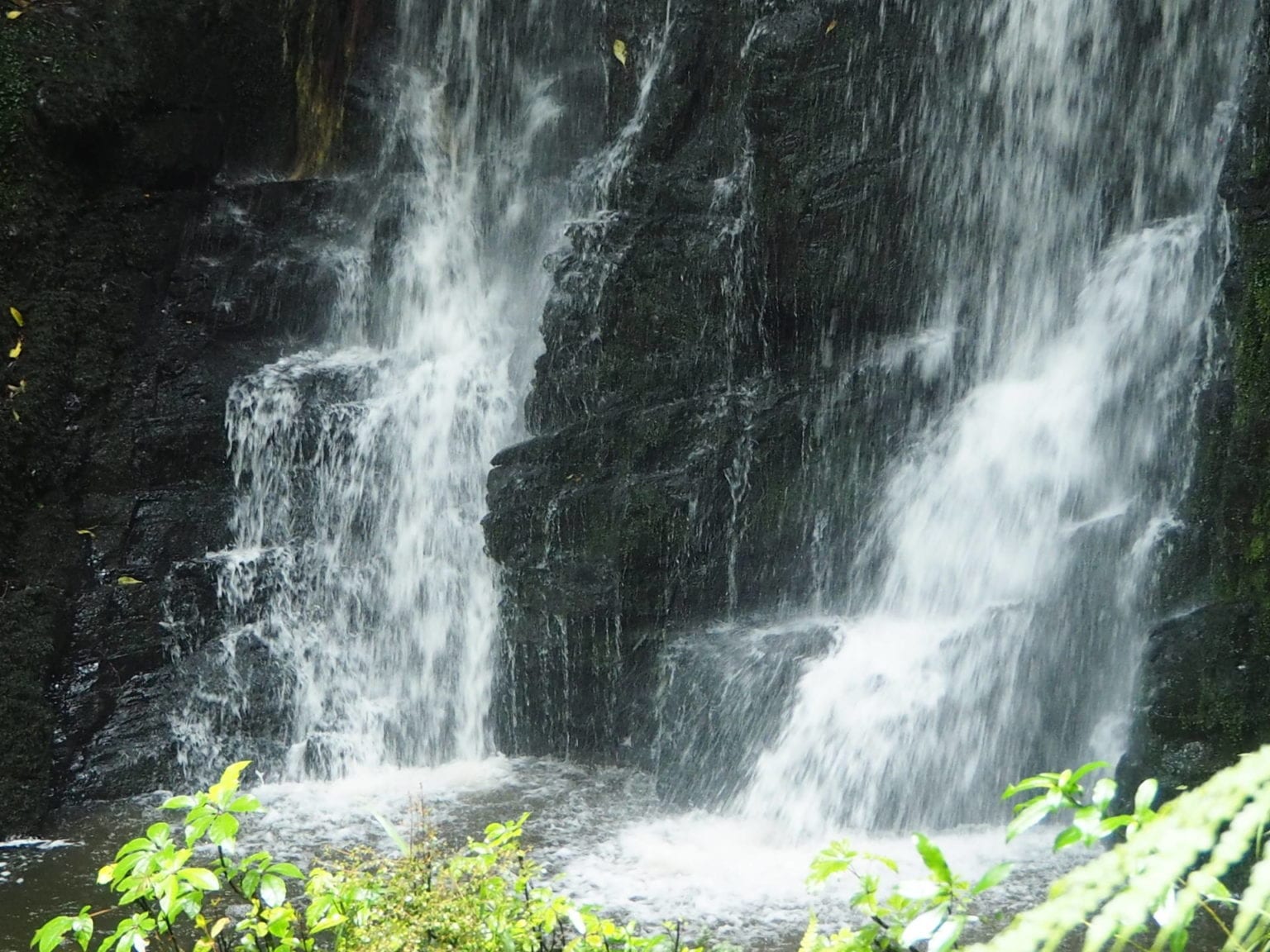 MATAI AND HORSESHOE WATERFALLS Susan Boyd Photography