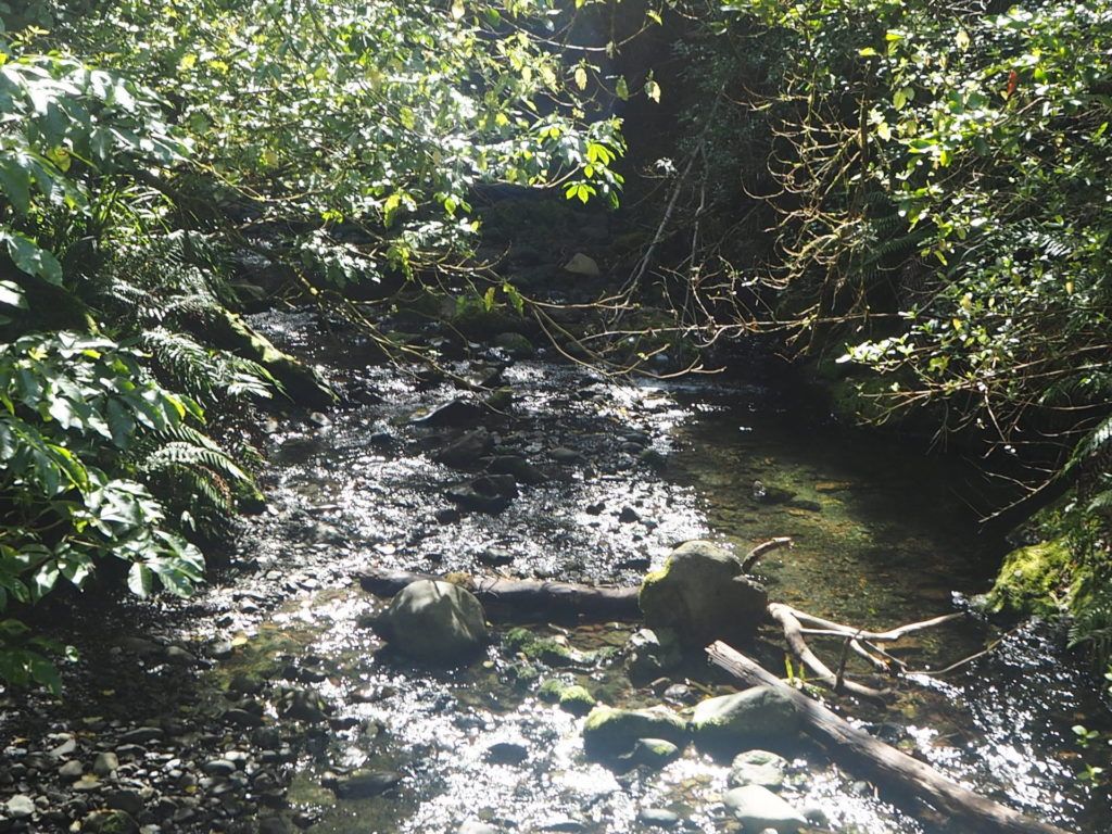 Glentui River further up track.