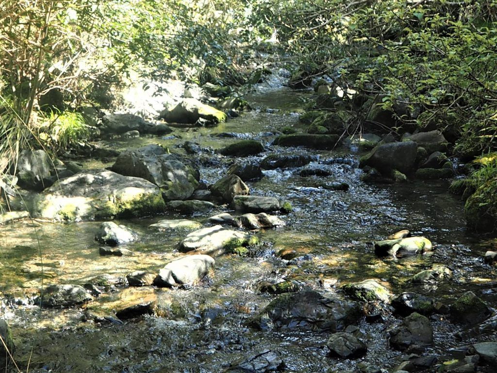 Downstream view of Glentui River