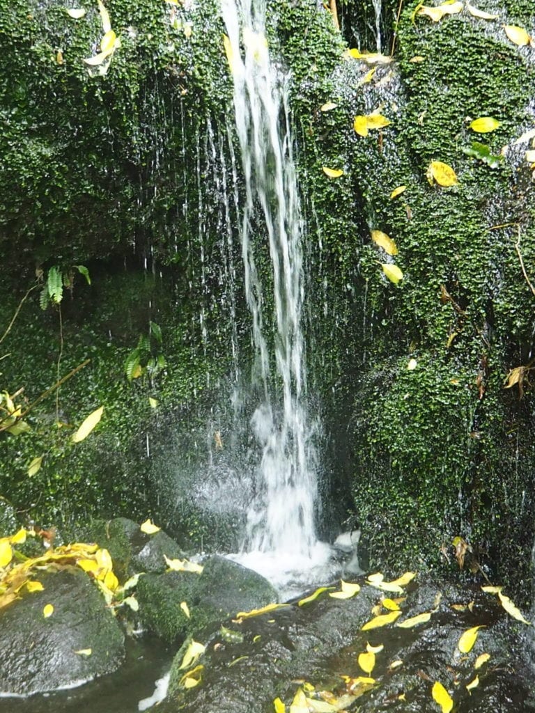 Annes Waterfall