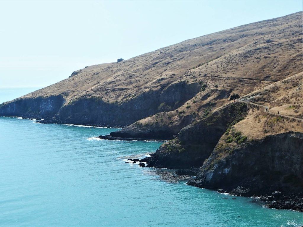 Taylors Mistake Track towards headland