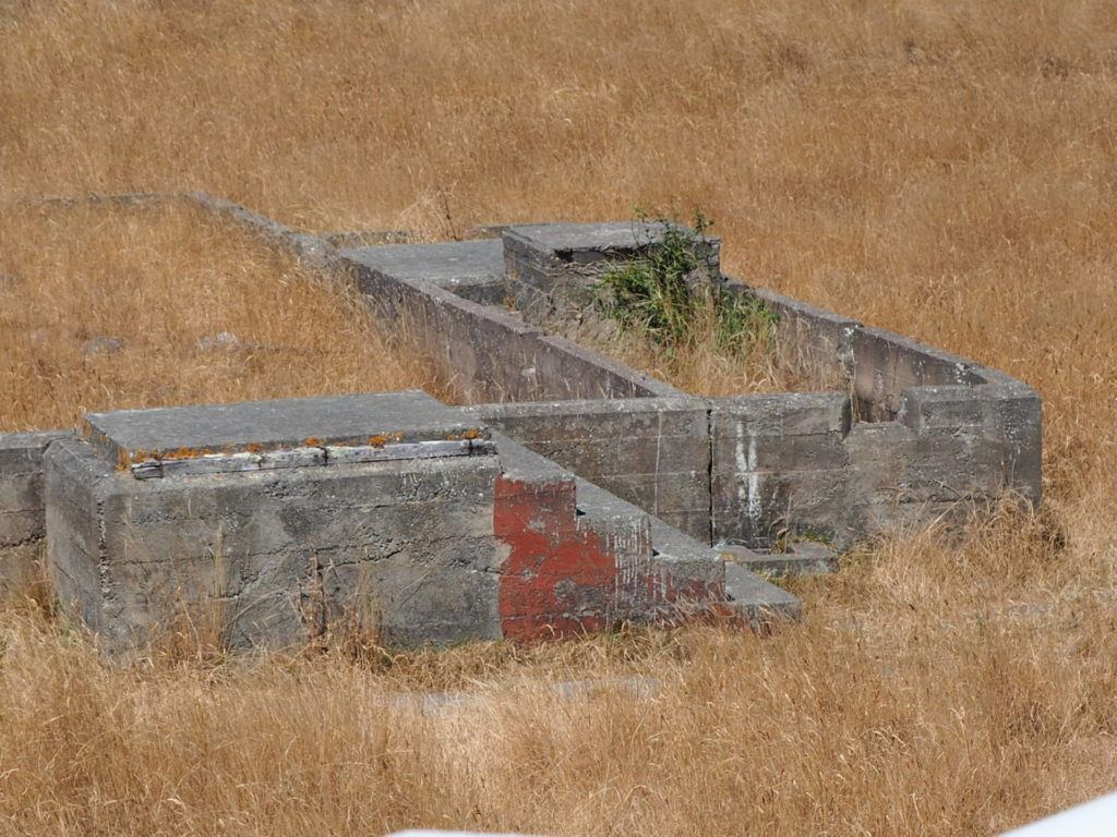 Ruins up on the hillside on Taylors Mistake Track.