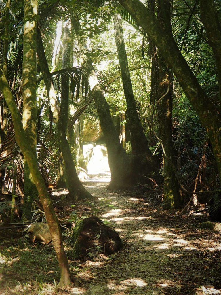 Grove Scenic Lookout