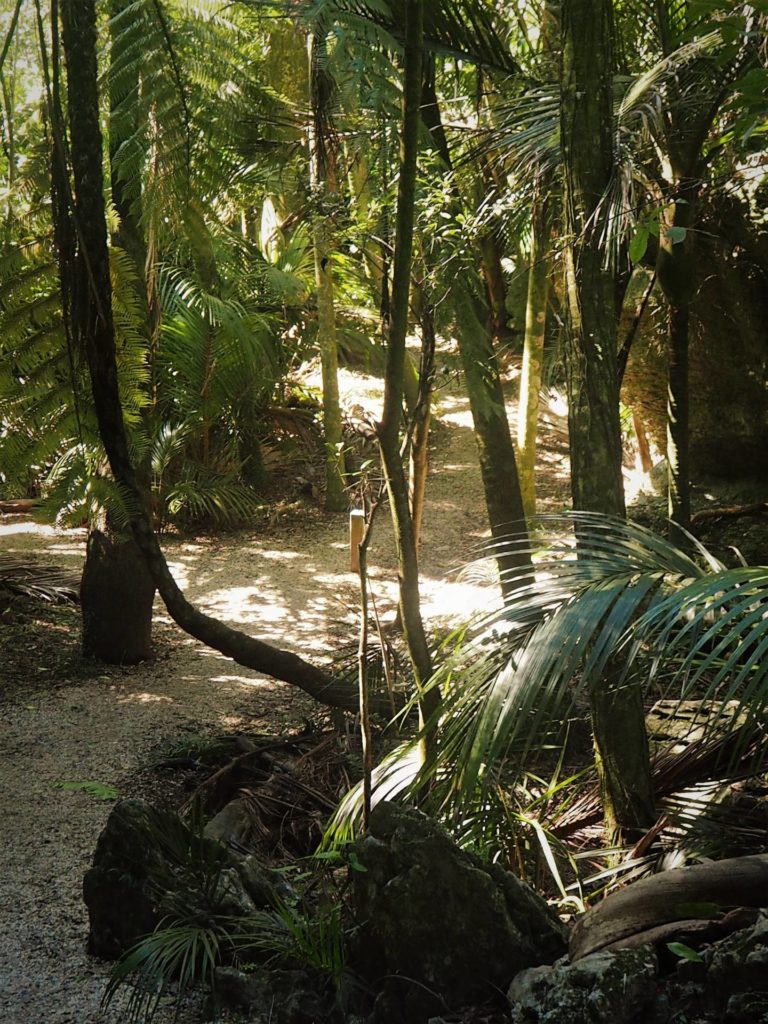 Grove Scenic Lookout