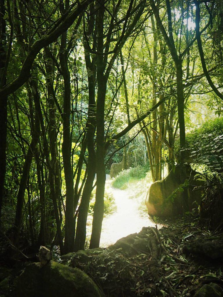 Grove Scenic Lookout
