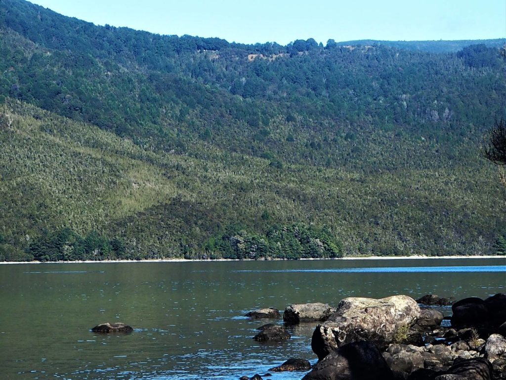 Brunner Peninsula Walk
