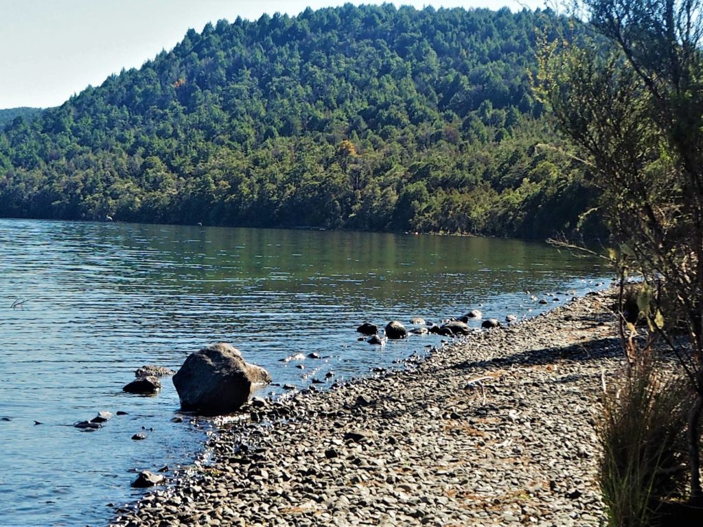 Brunner Peninsula Walk