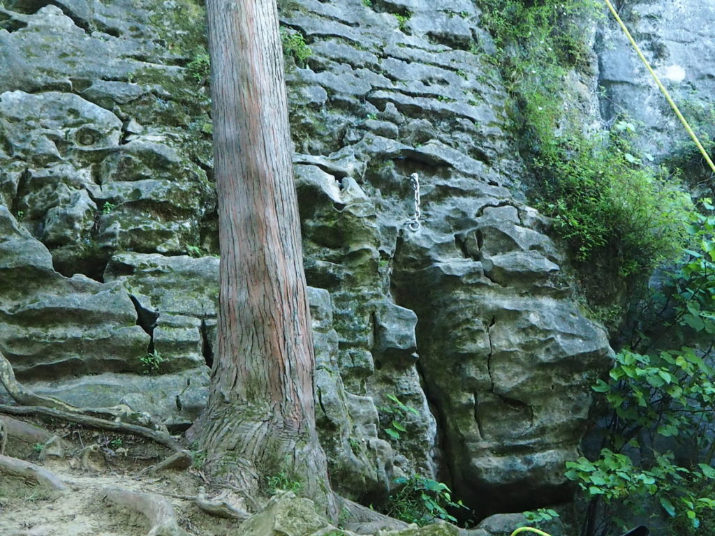 Paines Ford Tramline Track