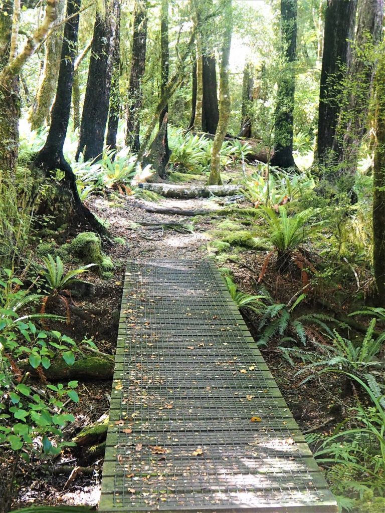 Lake Rotoroa Nature Walk