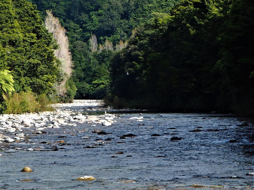 Anatoki River Walk