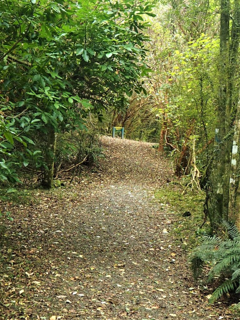 Kelceys Bush Walk