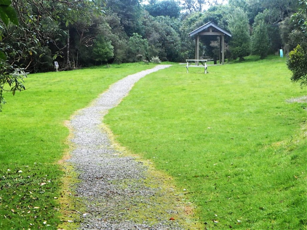 Kelceys Bush Walk