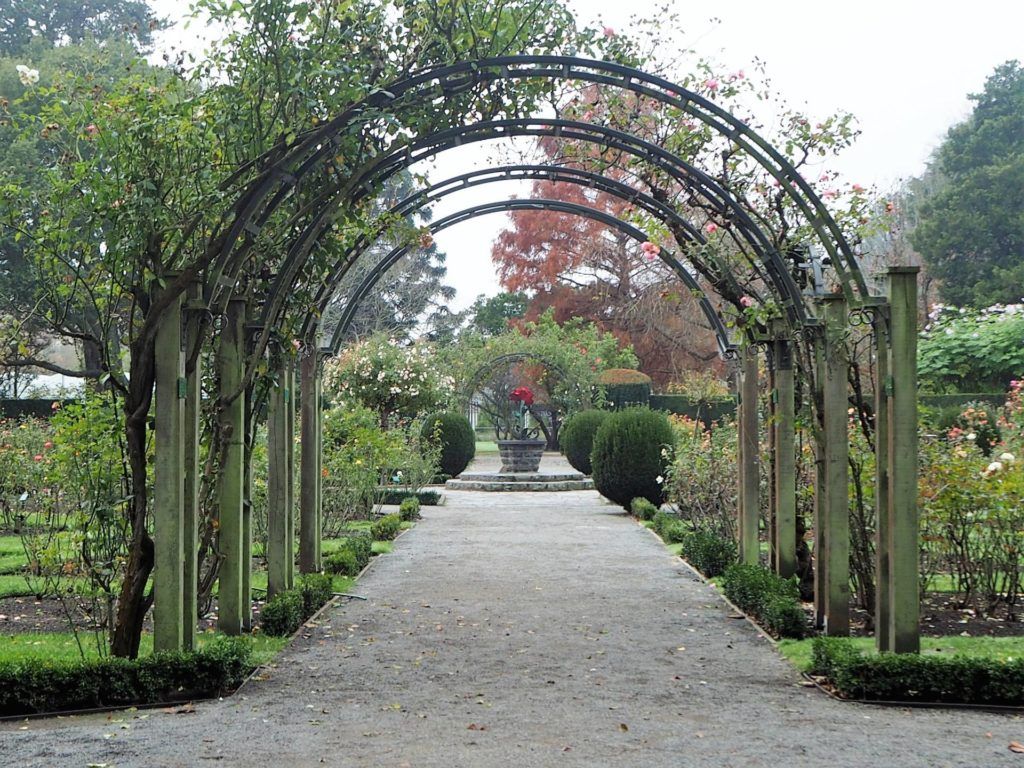 Rose Garden Archway, Botanic Gardens