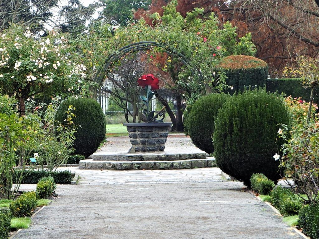 Rose garden view through the centre, Botanic Gardens