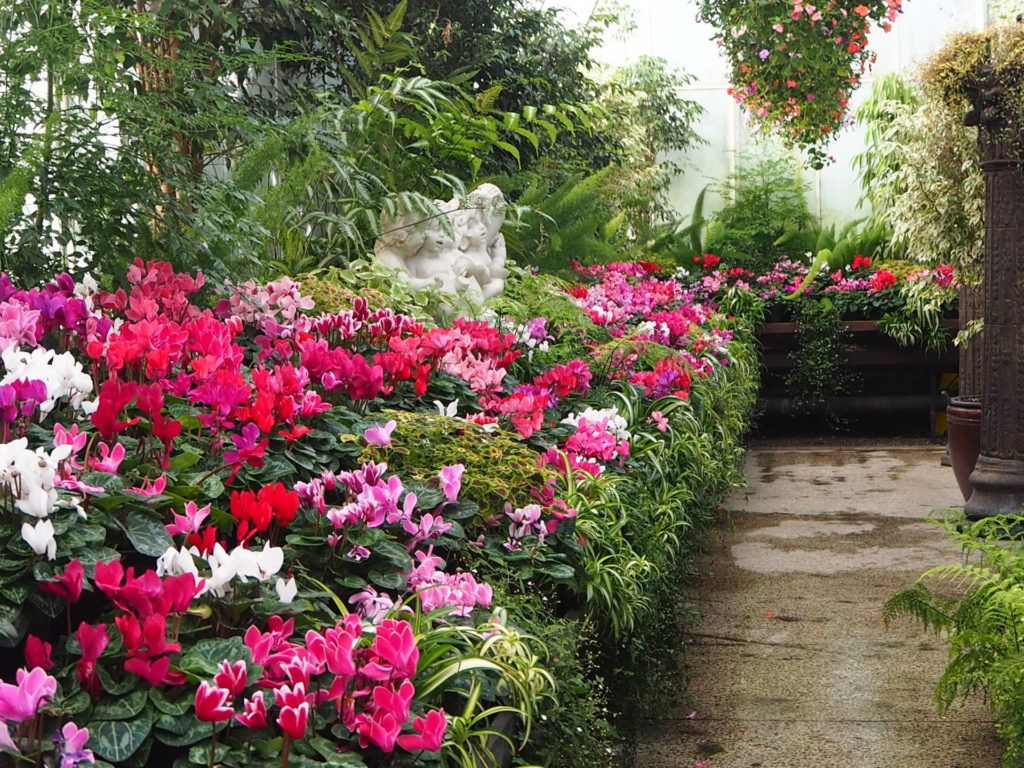Beautiful array of plants, Botanic Gardens