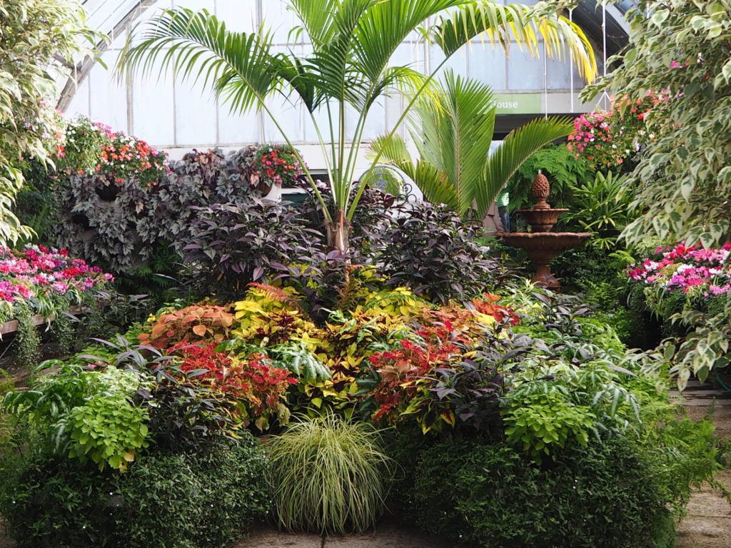 Glass House plant life at Botanic Gardens