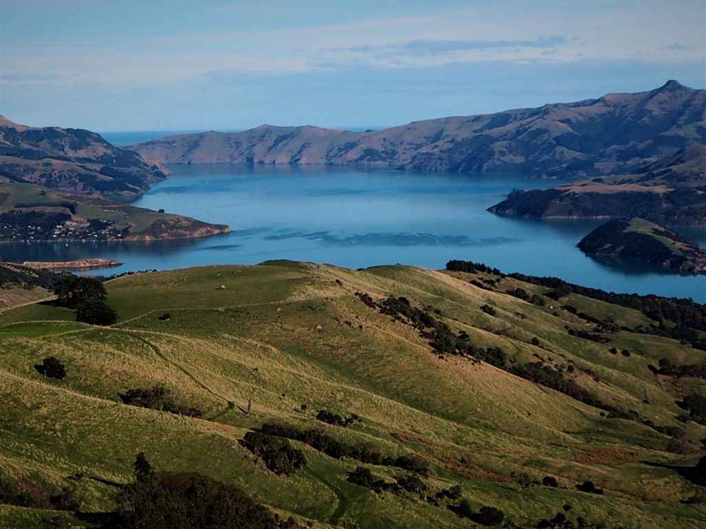 From lookout straight down to the entrance to Akaroa Harbour.