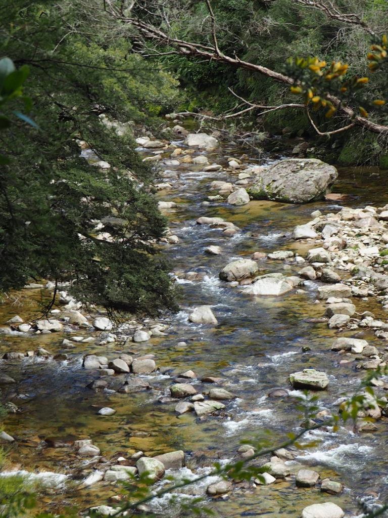 Wainui Falls Walk