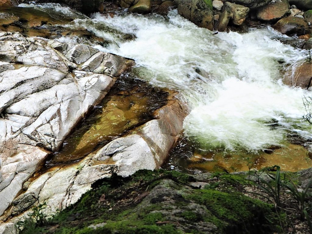 Wainui Falls Walk
