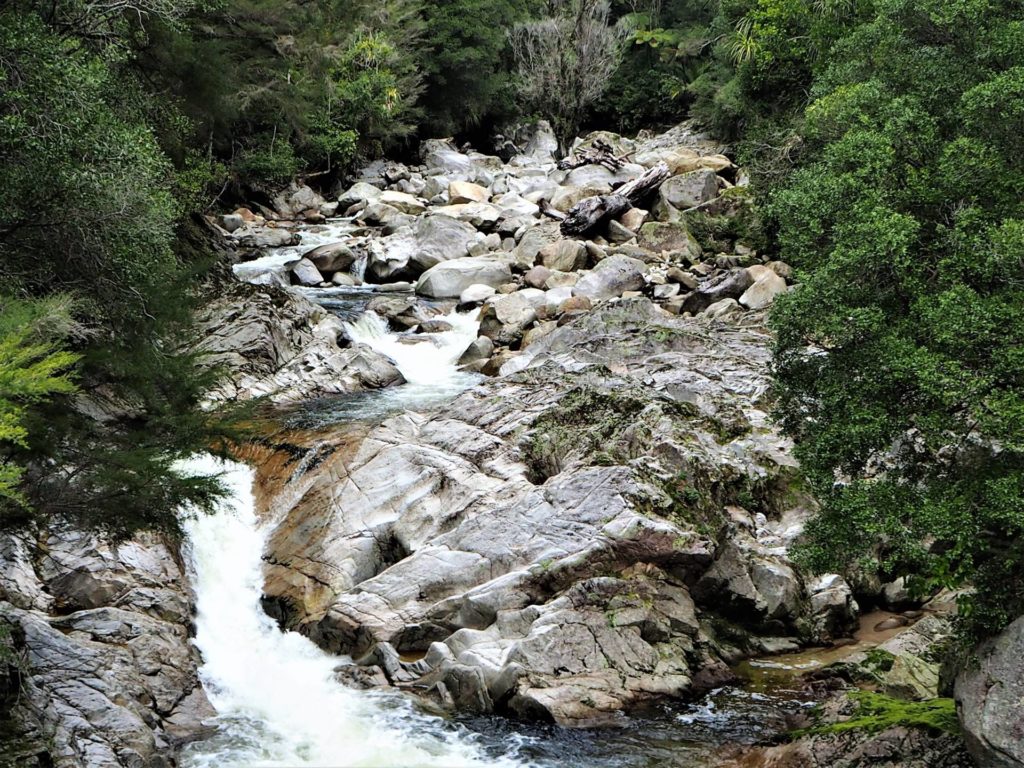 Wainui Falls Walk