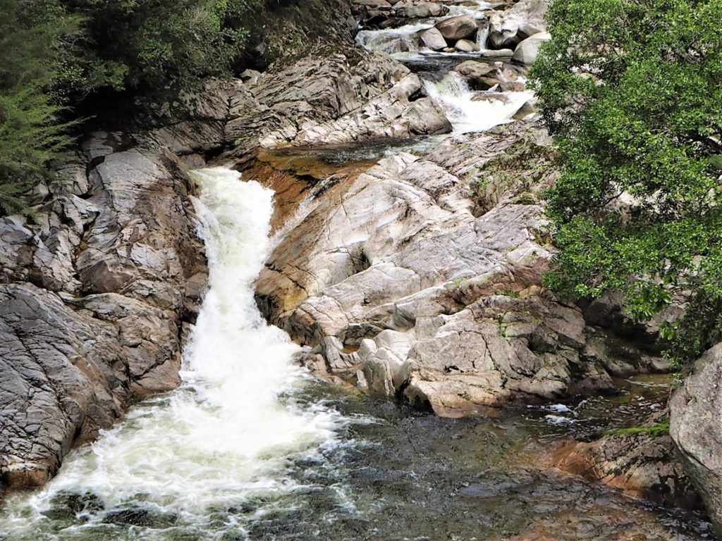 Wainui Falls Walk