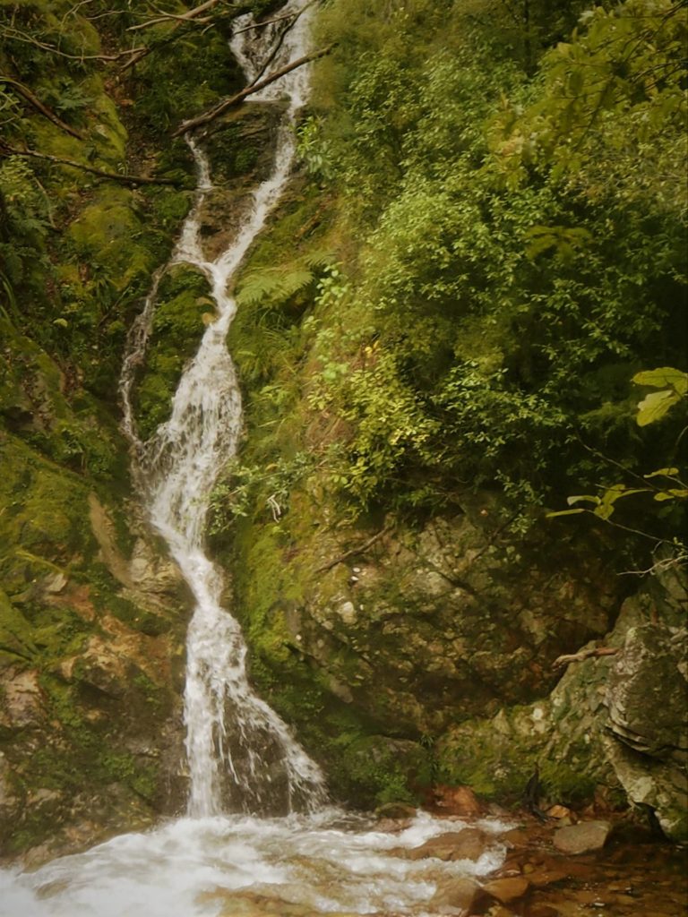 Wainui Falls Walk
