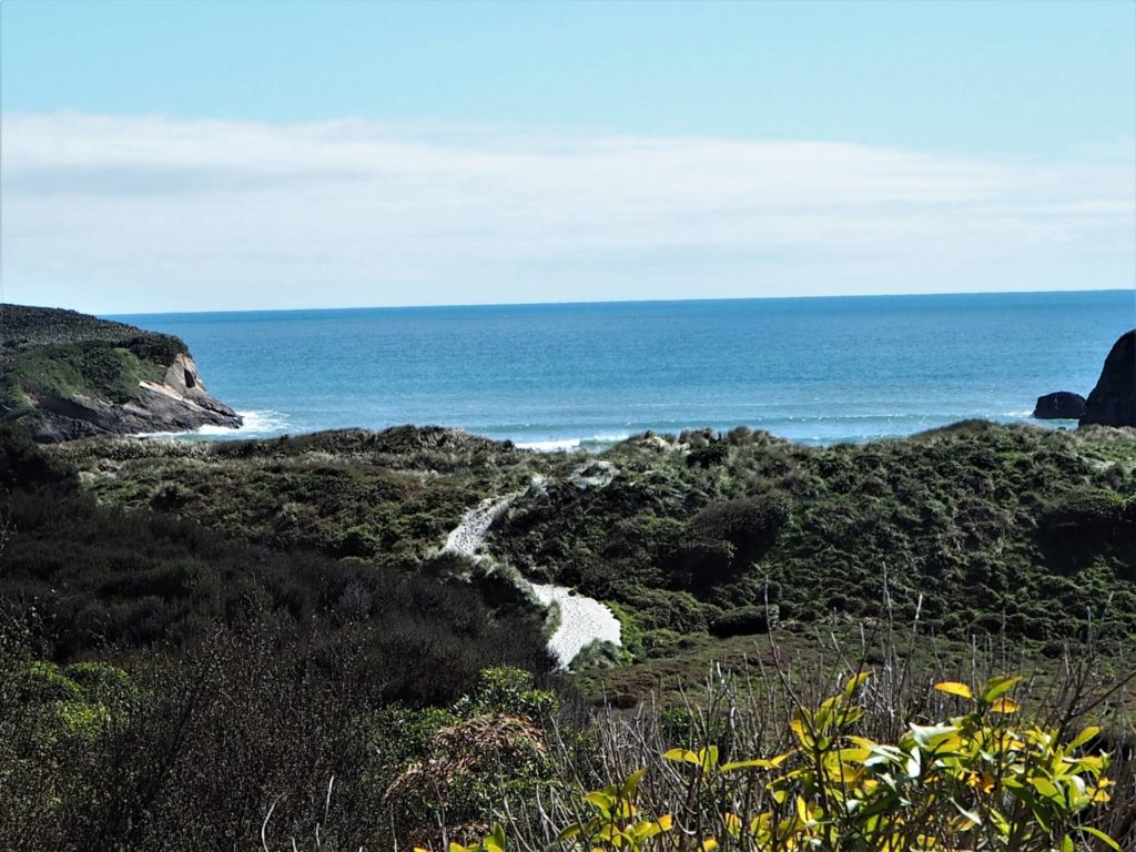 Close view entering Whakariki Beach.
