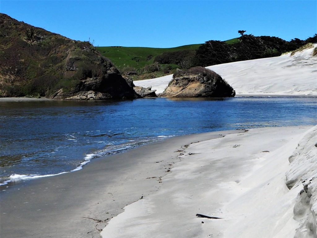 Right corner view at Whakariki Beach.