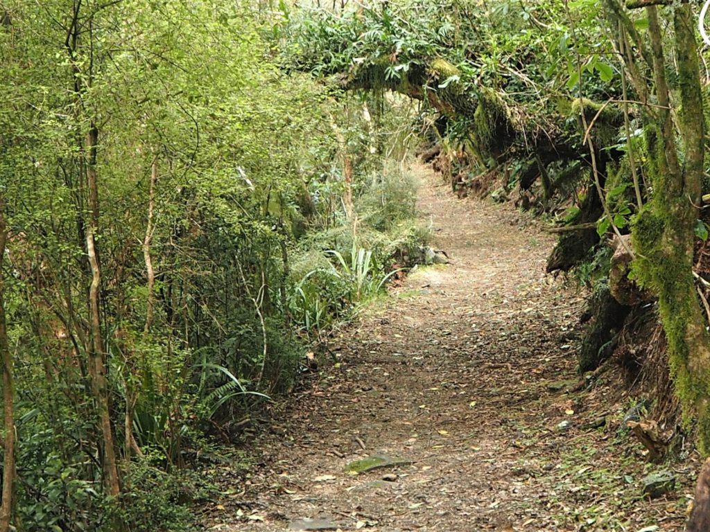 Otepatotu Scenic Reserve