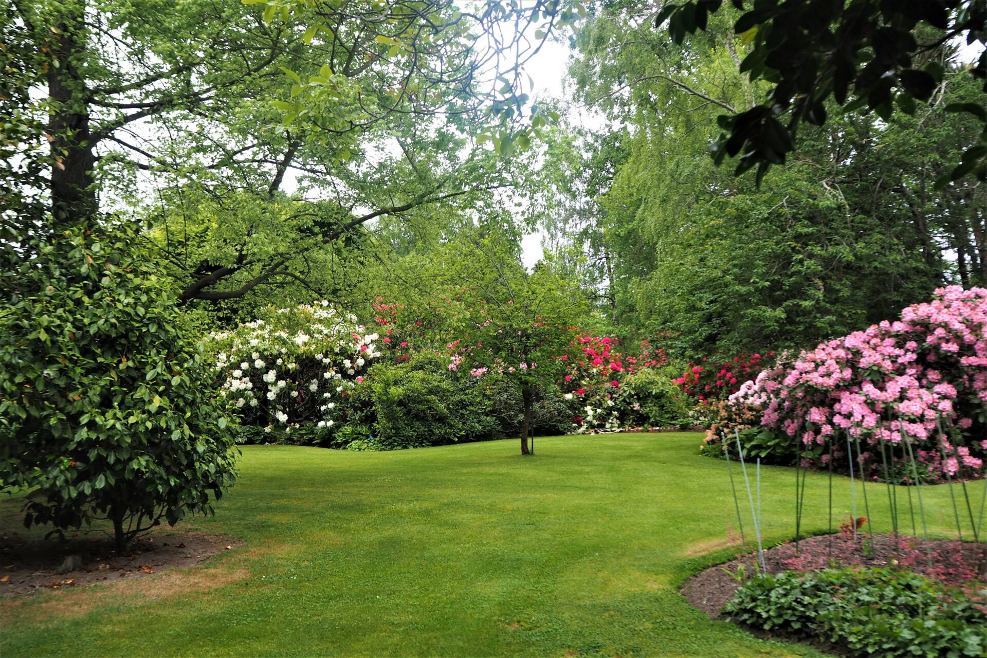 DALKEITH GARDENS Susan Boyd Photography