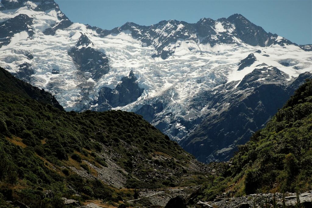 Kea Point Track