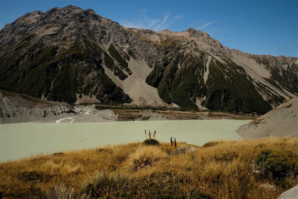 Kea Point Track
