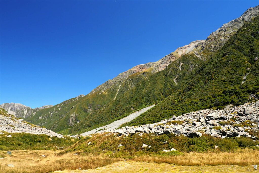 Kea Point Track