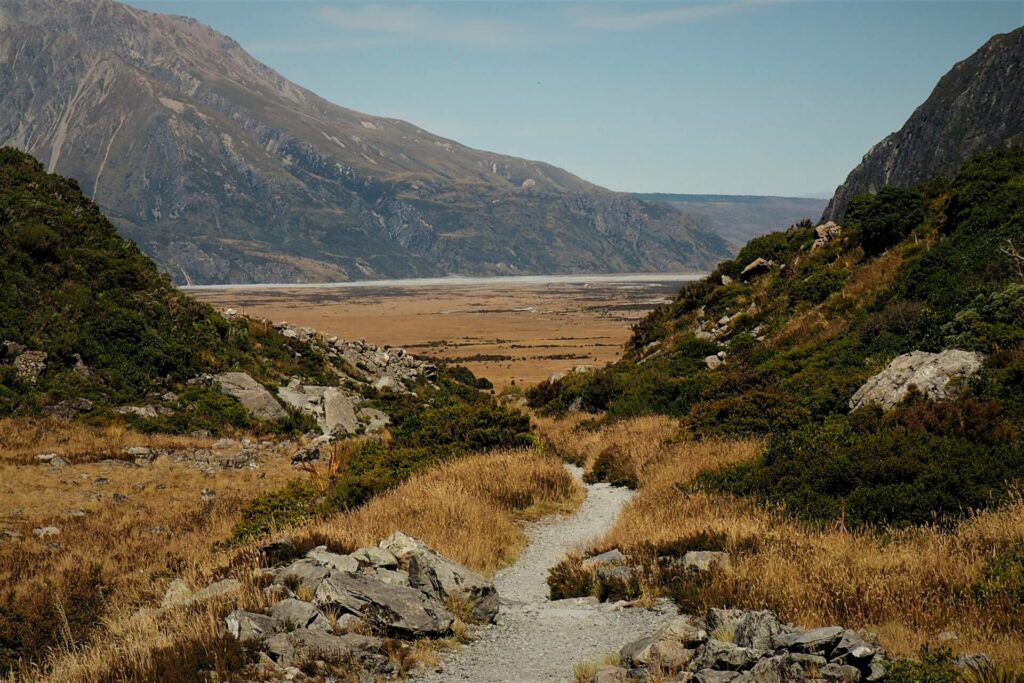 Kea Point Track