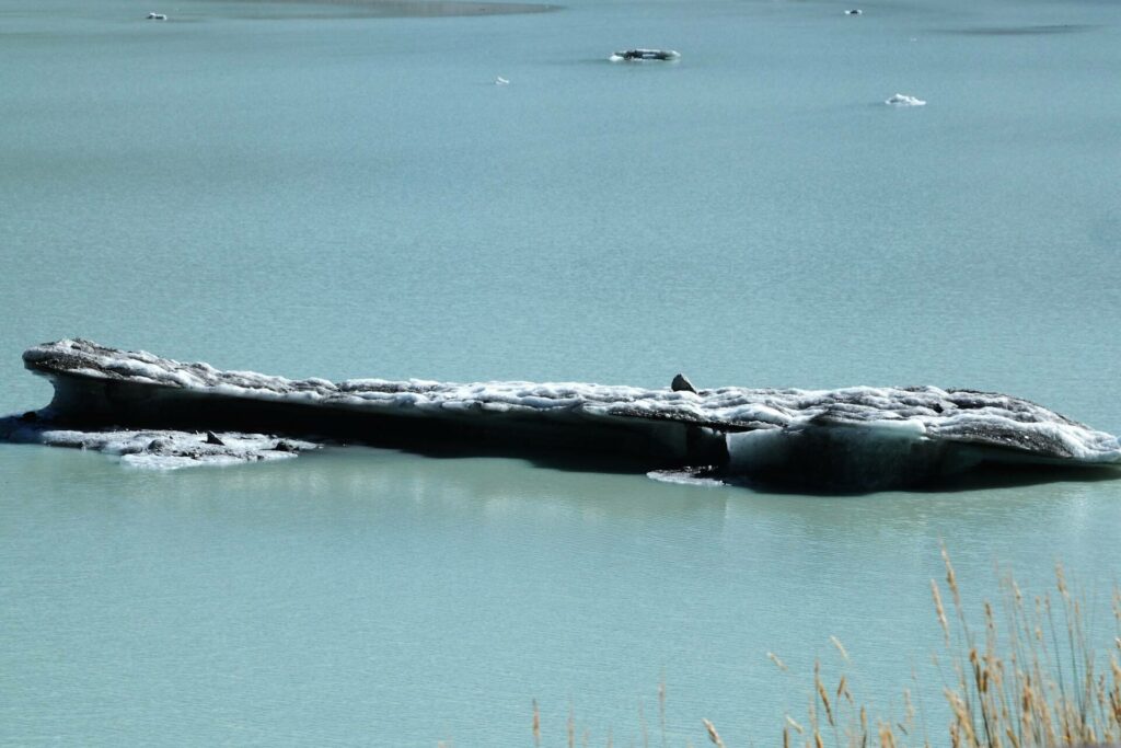 Hooker Lake