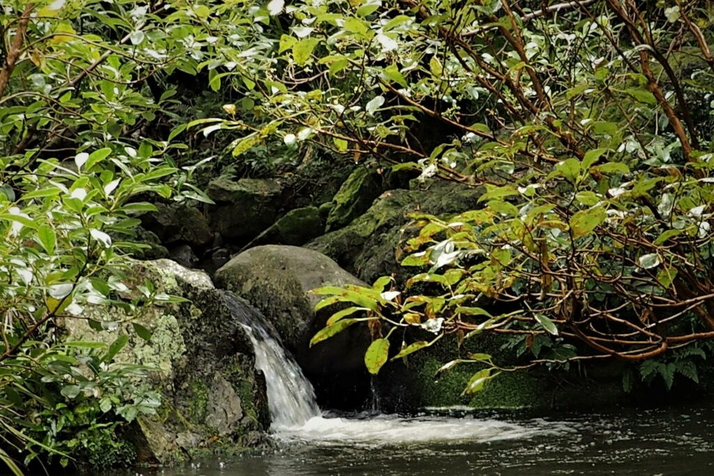 Washpen Falls Walk