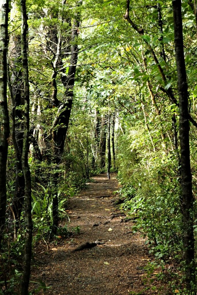 Washpen Falls Walk